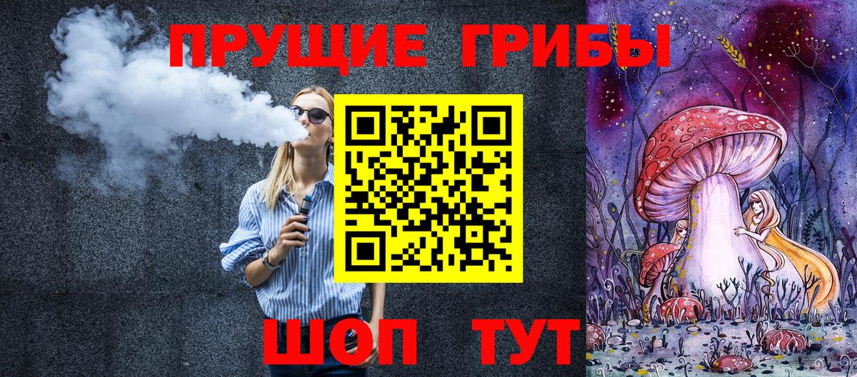 Псилоцибиновые грибы Cubensis Бахчисарай