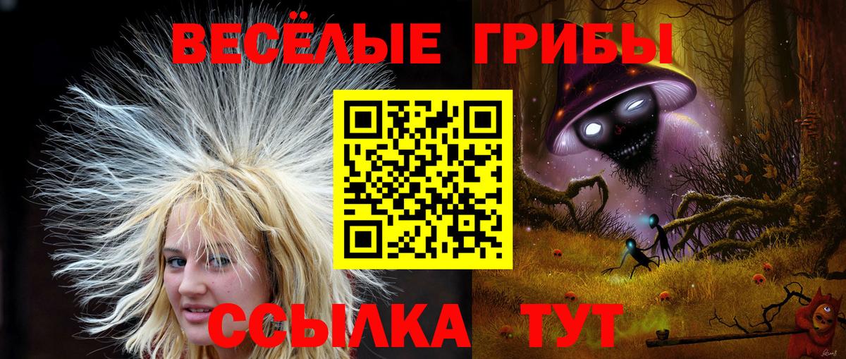 купить наркотик  Вход с VPN  Галлюциногенные грибы прущие грибы  Бахчисарай  Галлюциногенные грибы Cubensis 
